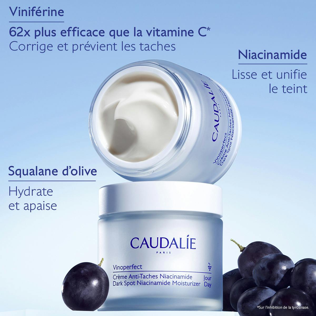 Crème Anti-Taches à la Viniférine & Niacinamide - Recharge