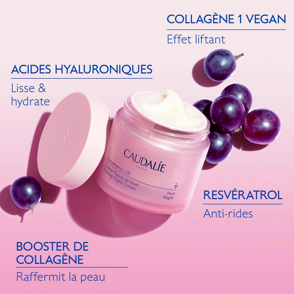 Crème Tisane de Nuit au Resvératrol, alternative au Rétinol - Recharge
