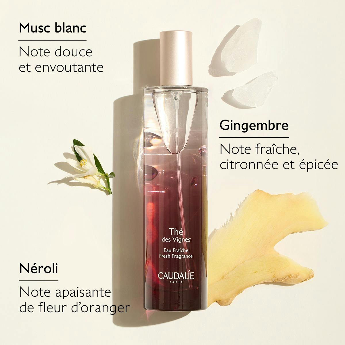 Coffret Eau Fraîche Thé des Vignes